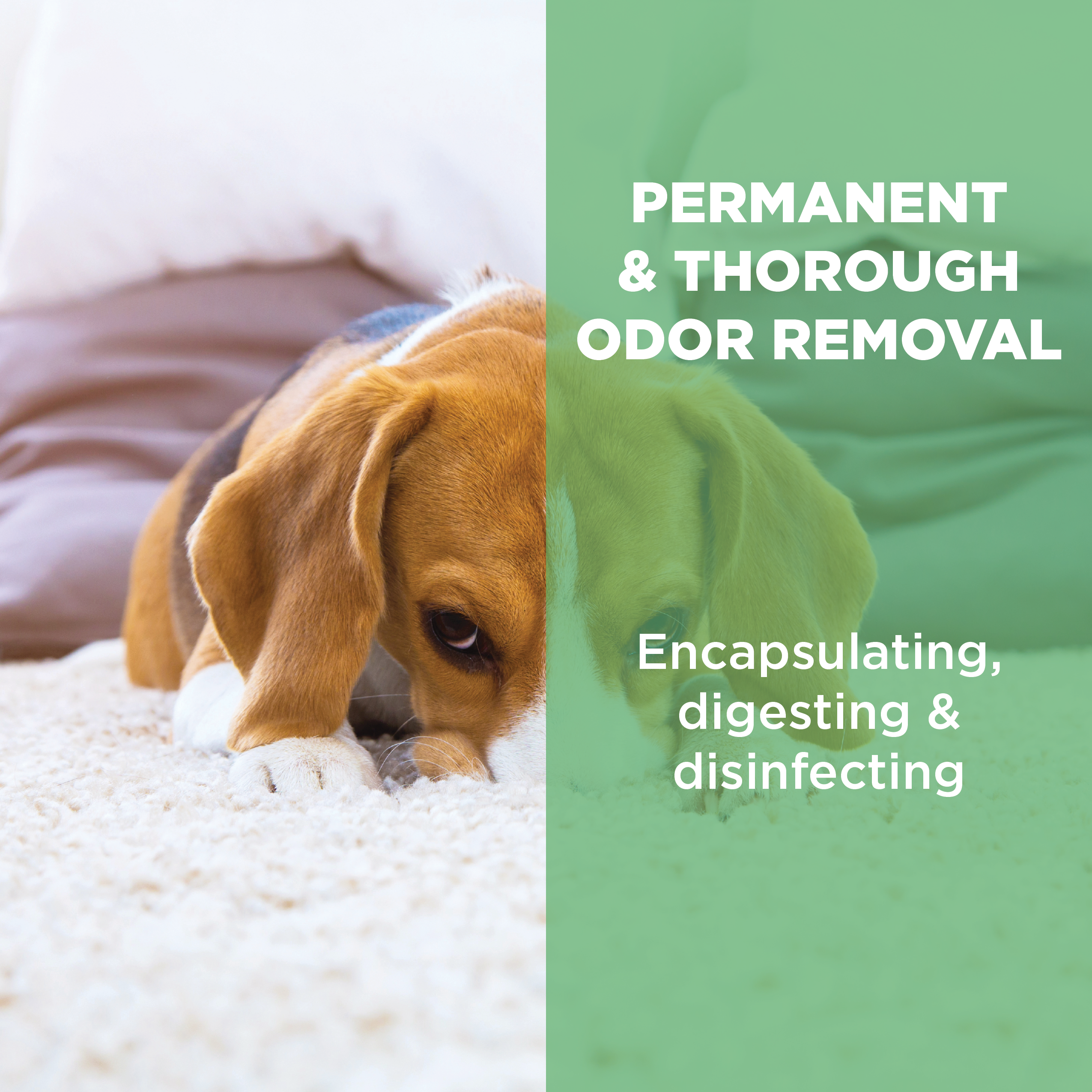 Deodorizers & Disinfectants – KLEENRITE