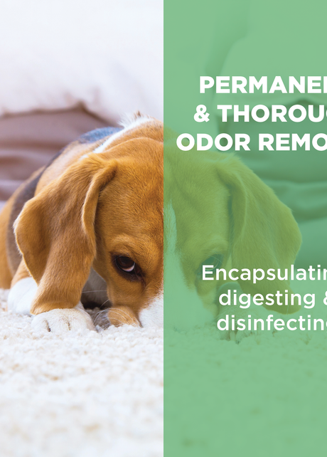 Deodorizers & Disinfectants